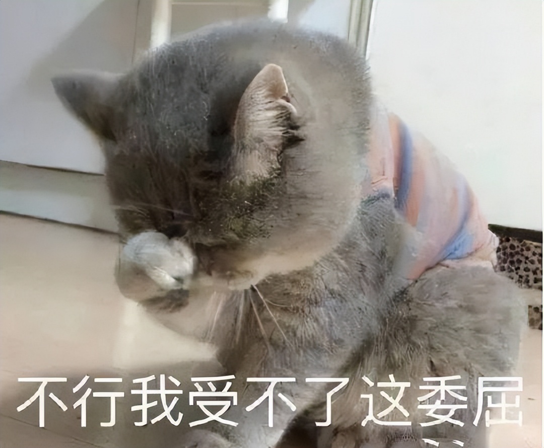 传奇游戏_网游史上最出名纷争_传奇8L与伊人风采对决