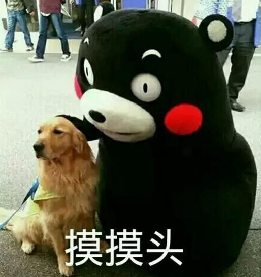 老年痴呆预防游戏_游戏人生小说剧情_退休教师玩网游